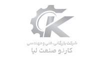 کارنو صنعت لیا کارنو صنعت لیا